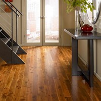 Ark French Collection Hardwood Flooring at Wholesale Prices